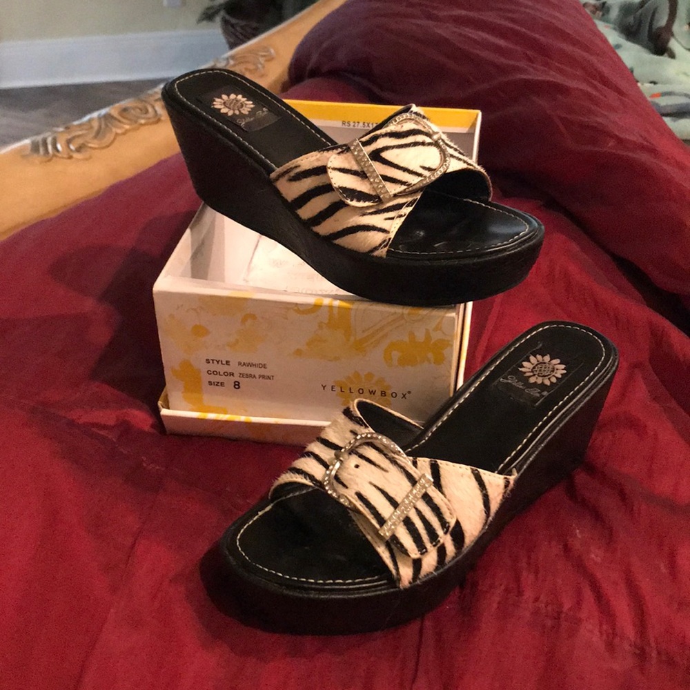Zebra Slides - image 1
